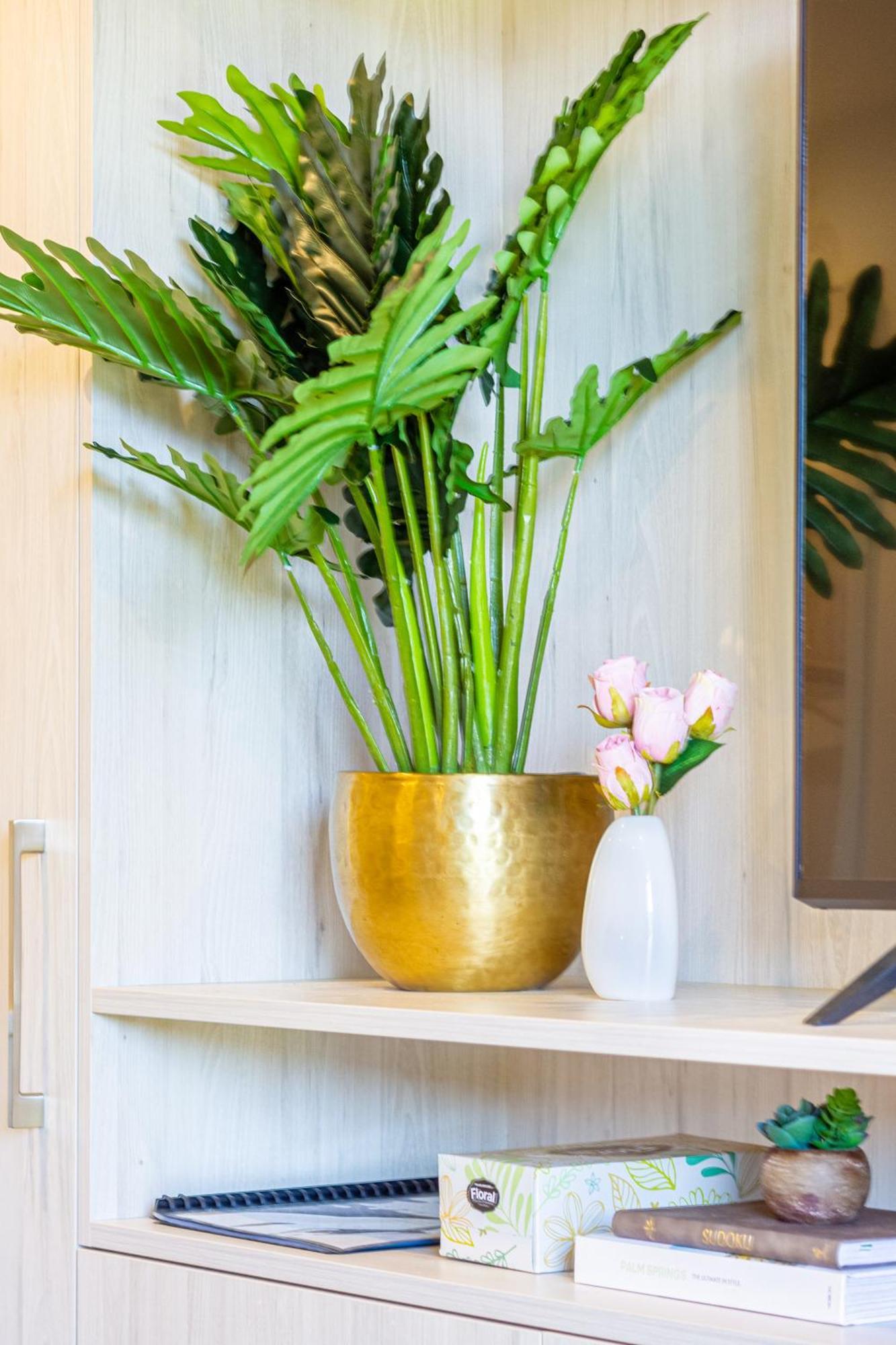 Oasis: Charming With Backyard